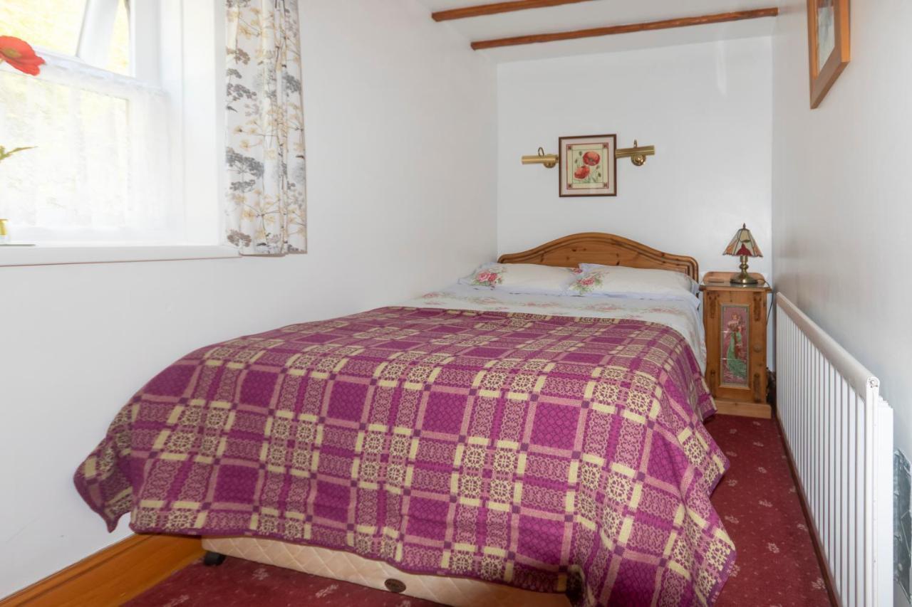 Rosebud Cottage Romantic Cottage For A Couple Fishguard Bagian luar foto