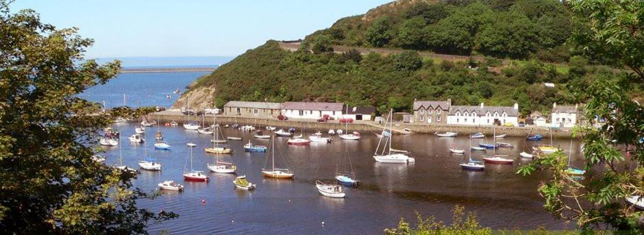 Rosebud Cottage Romantic Cottage For A Couple Fishguard Bagian luar foto